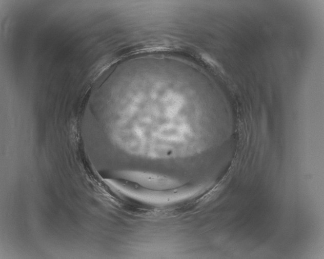 X0000062671353200512281728