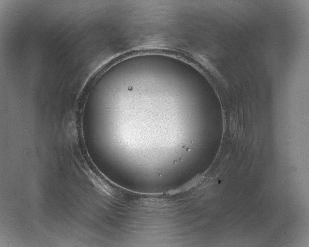 X0000062671356200512281728