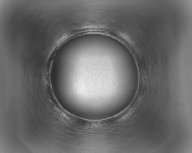 X0000062671357200512281728