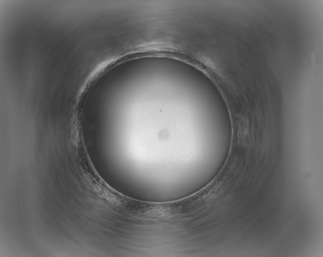 X0000062671358200512281728