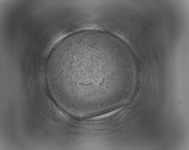 X0000062671359200512281728