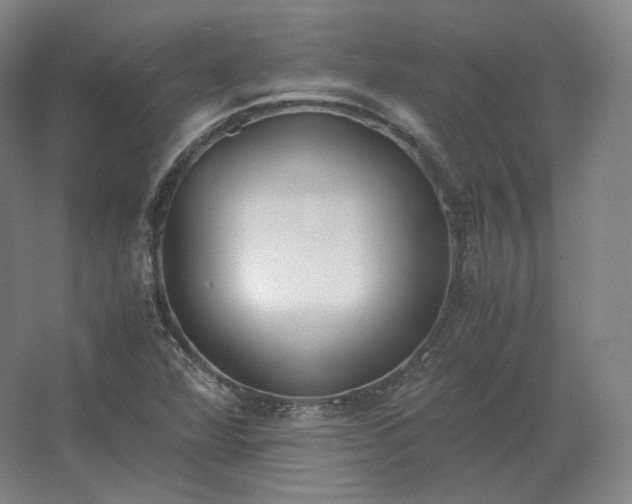 X0000062671360200512281728