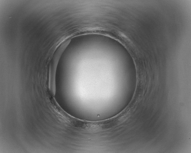 X0000062671361200512281728