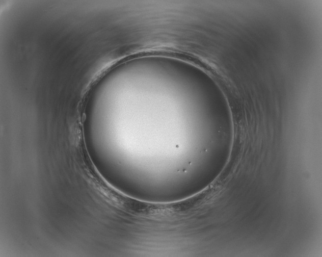 X0000062671363200512281728