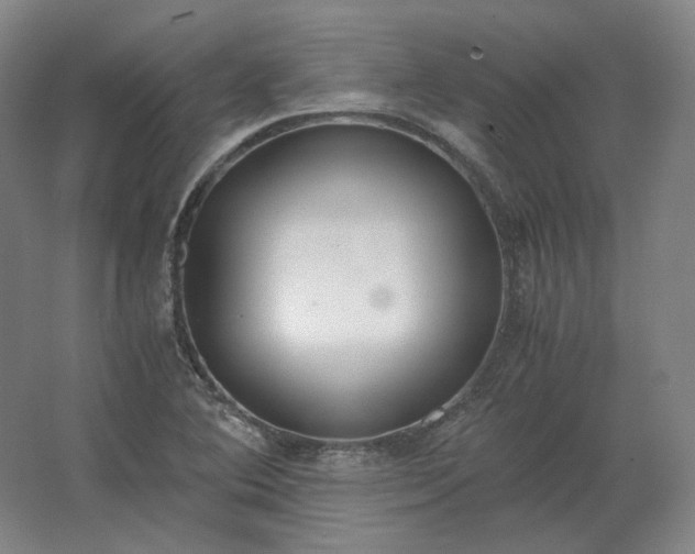 X0000062671364200512281728