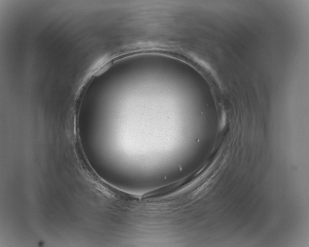 X0000062671365200512281728