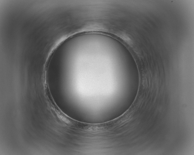 X0000062671366200512281728