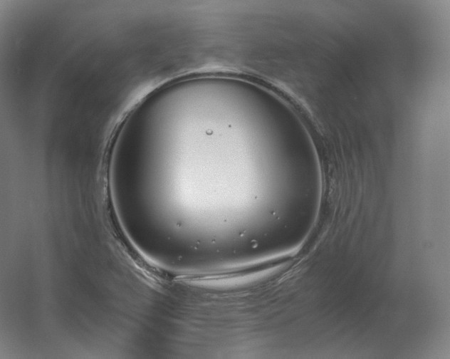 X0000062671367200512281728