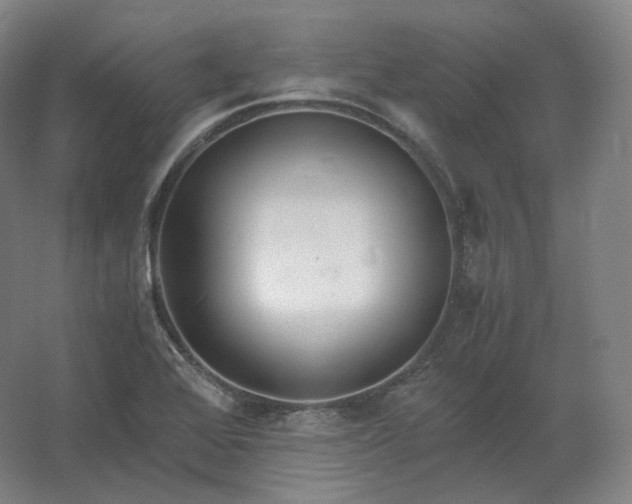 X0000062671368200512281728