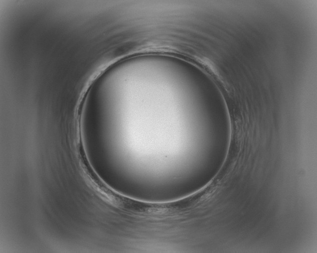 X0000062671371200512281728