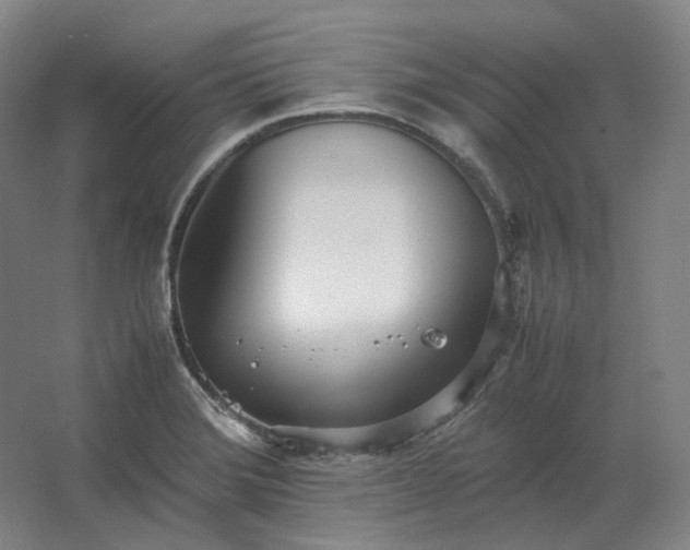 X0000062671372200512281728