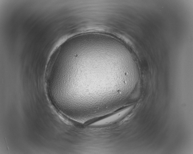 X0000062671373200512281728