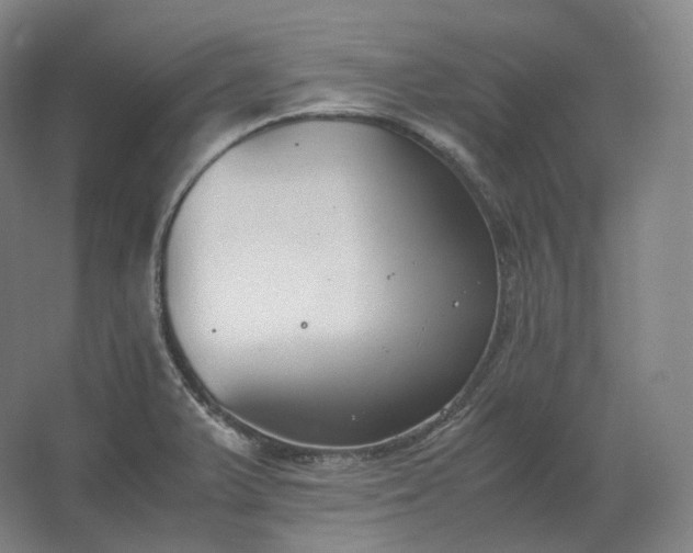 X0000062671375200512281728