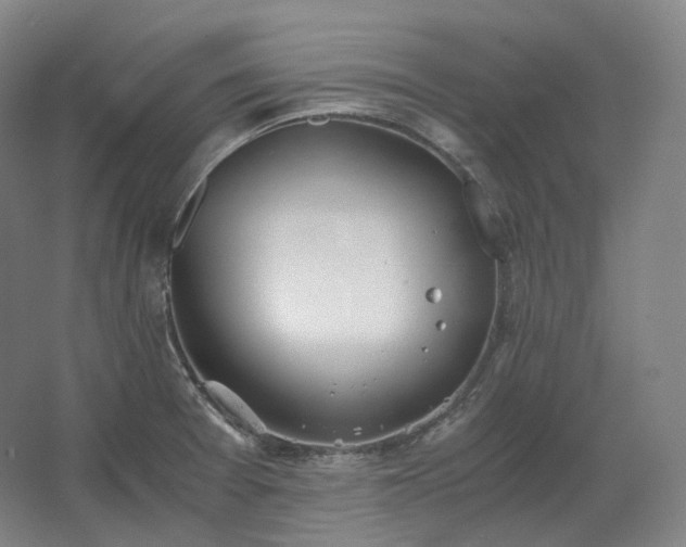 X0000062671377200512281728