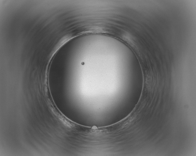 X0000062671378200512281728