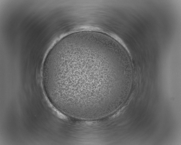 X0000062671381200512281728