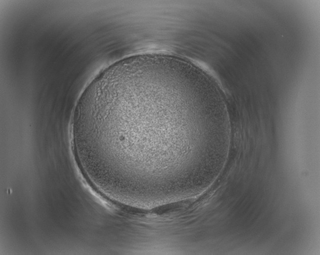 X0000062671383200512281728