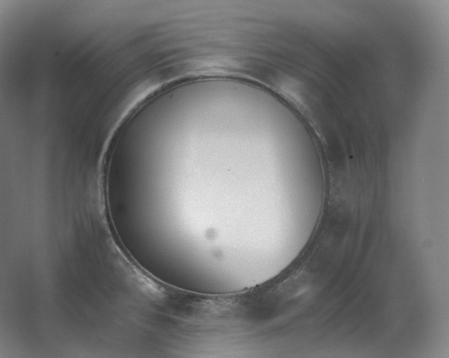 X0000062671384200512281728