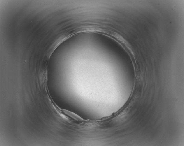 X0000062671385200512281728