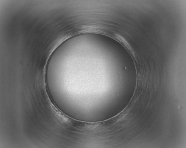 X0000062671386200512281728