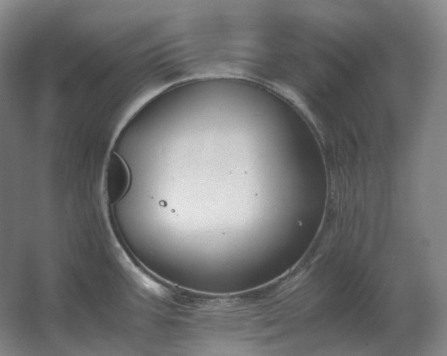 X0000062671387200512281728