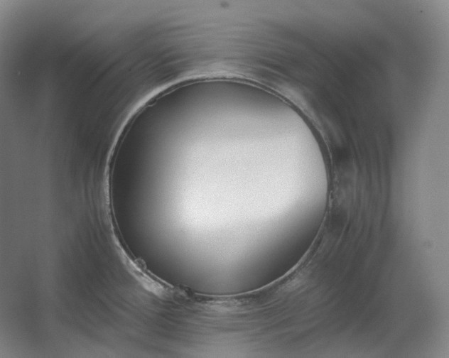 X0000062671388200512281728