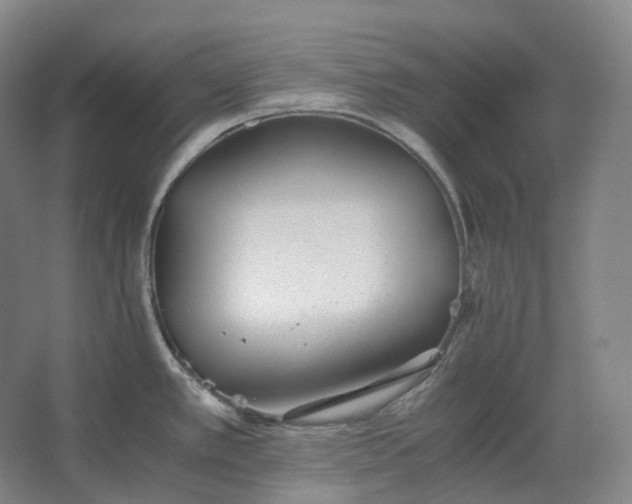 X0000062671389200512281728