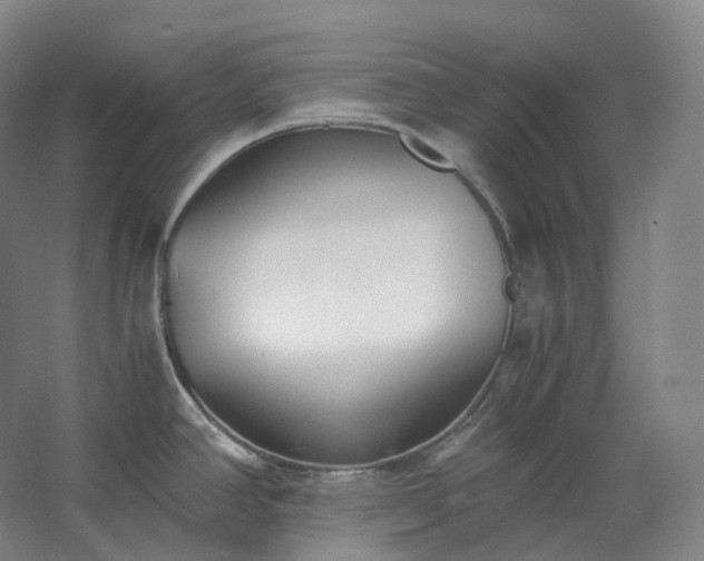 X0000062671390200512281727