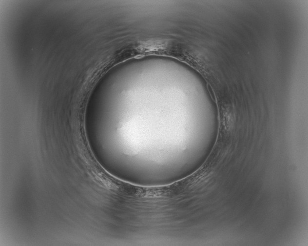 X0000062671393200512281727