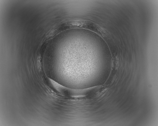 X0000062671394200512281727