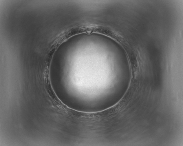 X0000062671397200512281727