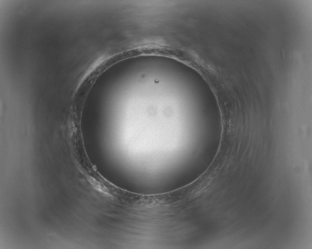 X0000062671400200512281727