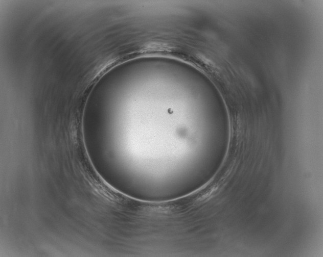 X0000062671401200512281727