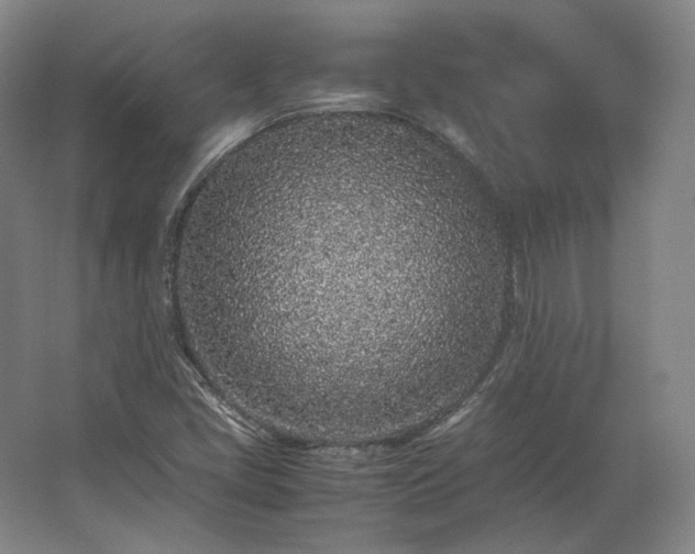 X0000062671405200512281727