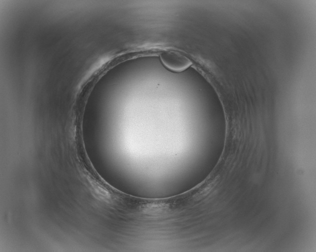 X0000062671406200512281727