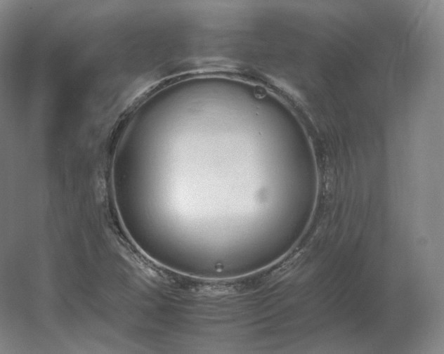 X0000062671407200512281727