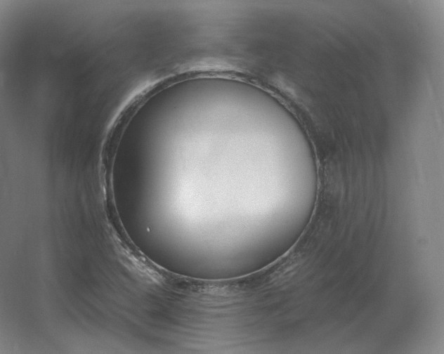 X0000062671408200512281727