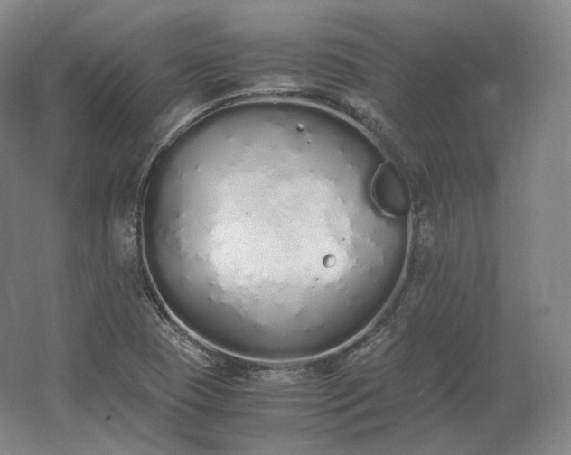 X0000062671409200512281727