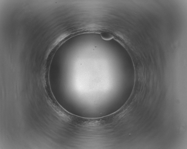 X0000062671410200512281727