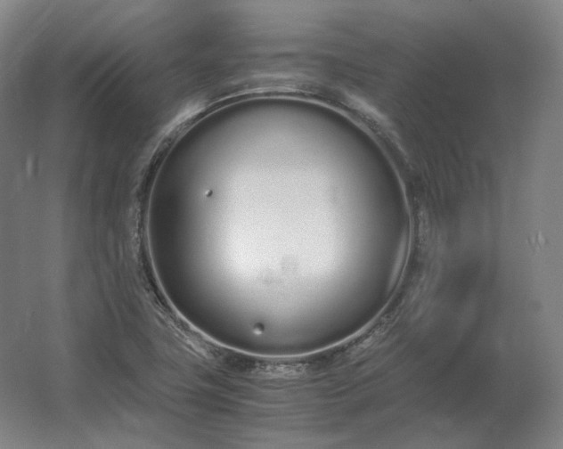 X0000062671411200512281727