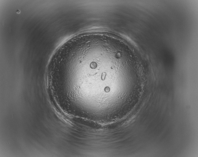 X0000062671413200512281727