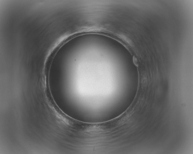 X0000062671414200512281727