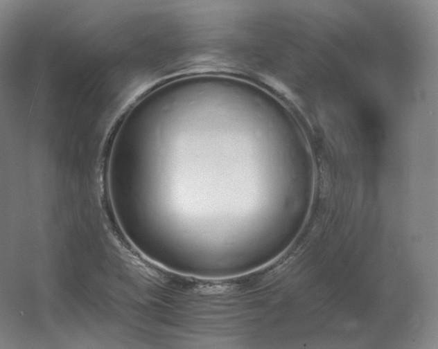 X0000062671415200512281727