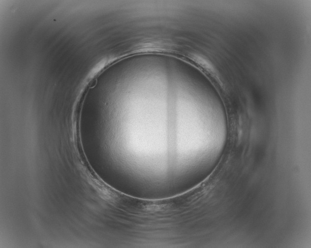 X0000062671419200512281727