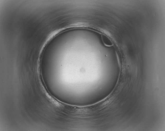 X0000062671421200512281727