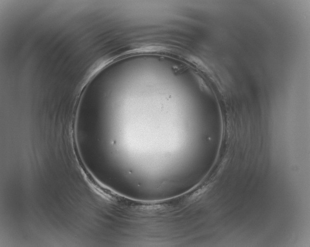 X0000062671425200512281727