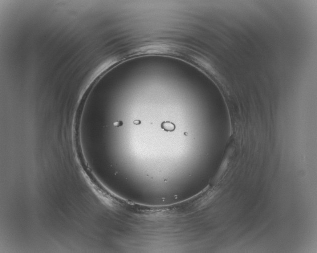 X0000062671426200512281727