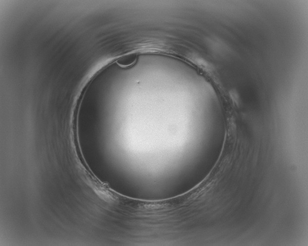 X0000062671427200512281727