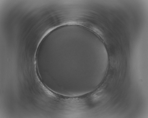 X0000062671428200512281727