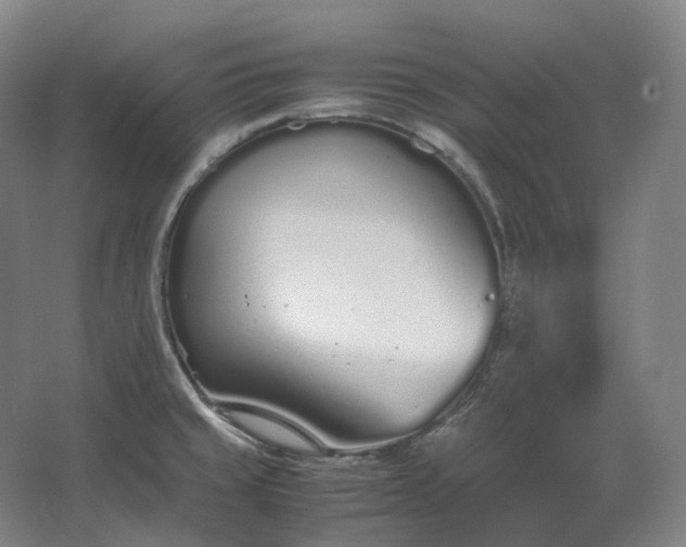 X0000062671429200512281727